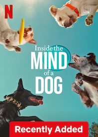 movies-english